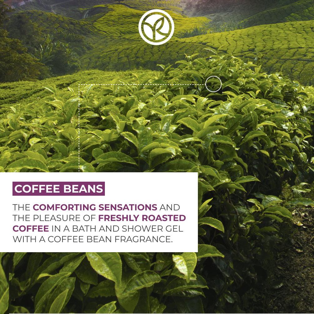 Coffee Beans Comforting Bath & Shower Gel - 400 ml