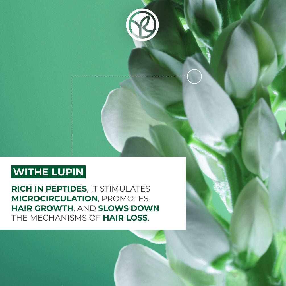 The Density Starter Kit