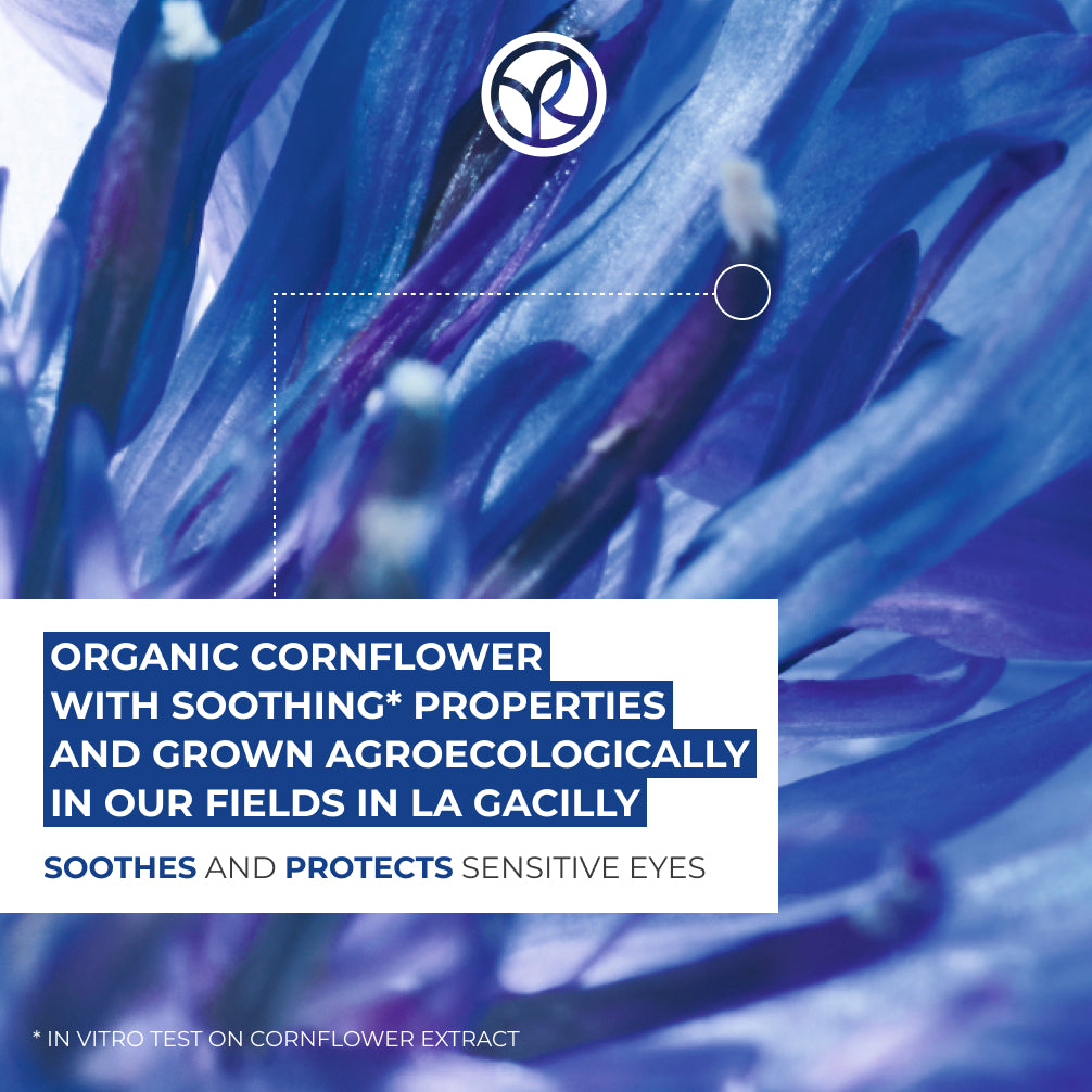 Cornflower Eye Care
