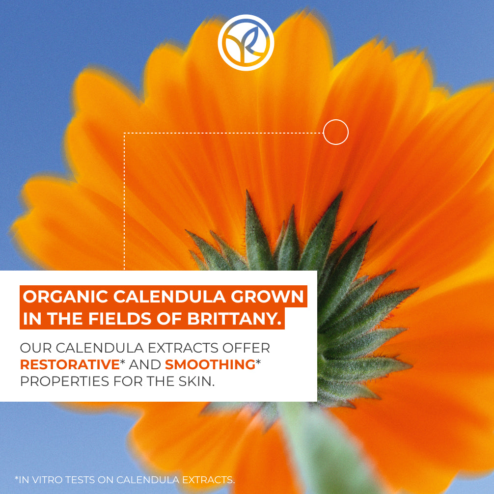 Smoothing Makeup Removing Milk - Pur Calendula