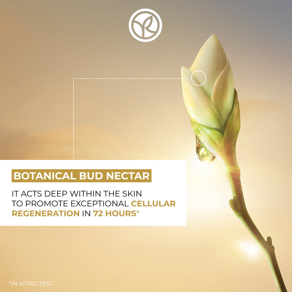 The Ultimate Regenerating Care