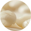 The Botanical White Seed