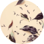 Boreal Tea