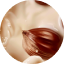 Organic Chestnut Milk