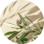 Olive and Petitgrain