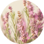 Fields' Flower and Heather