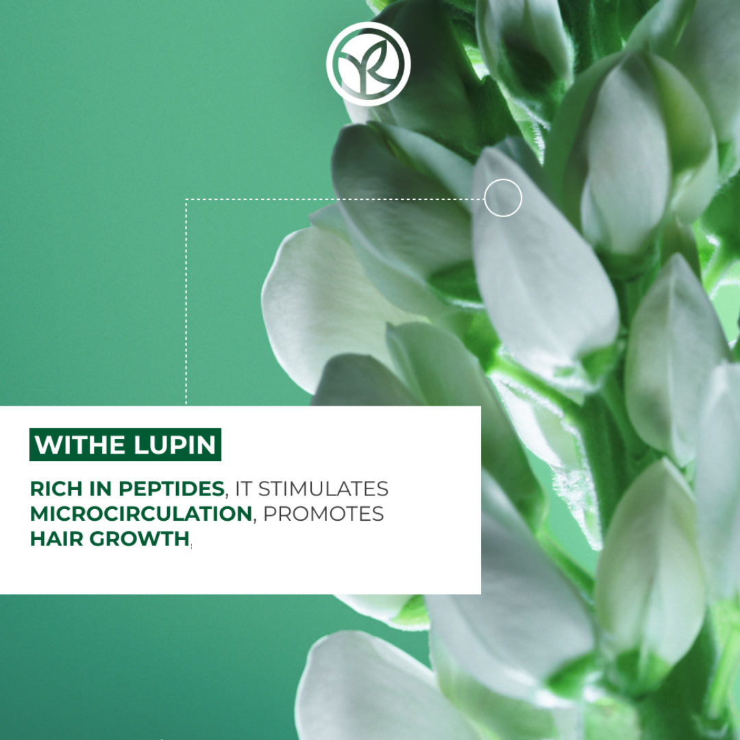 Fortifying Shampoo - Density