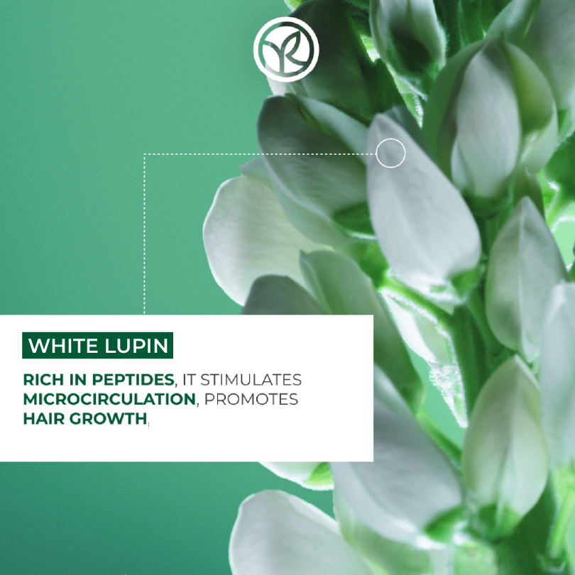 Fortifying Shampoo - Density