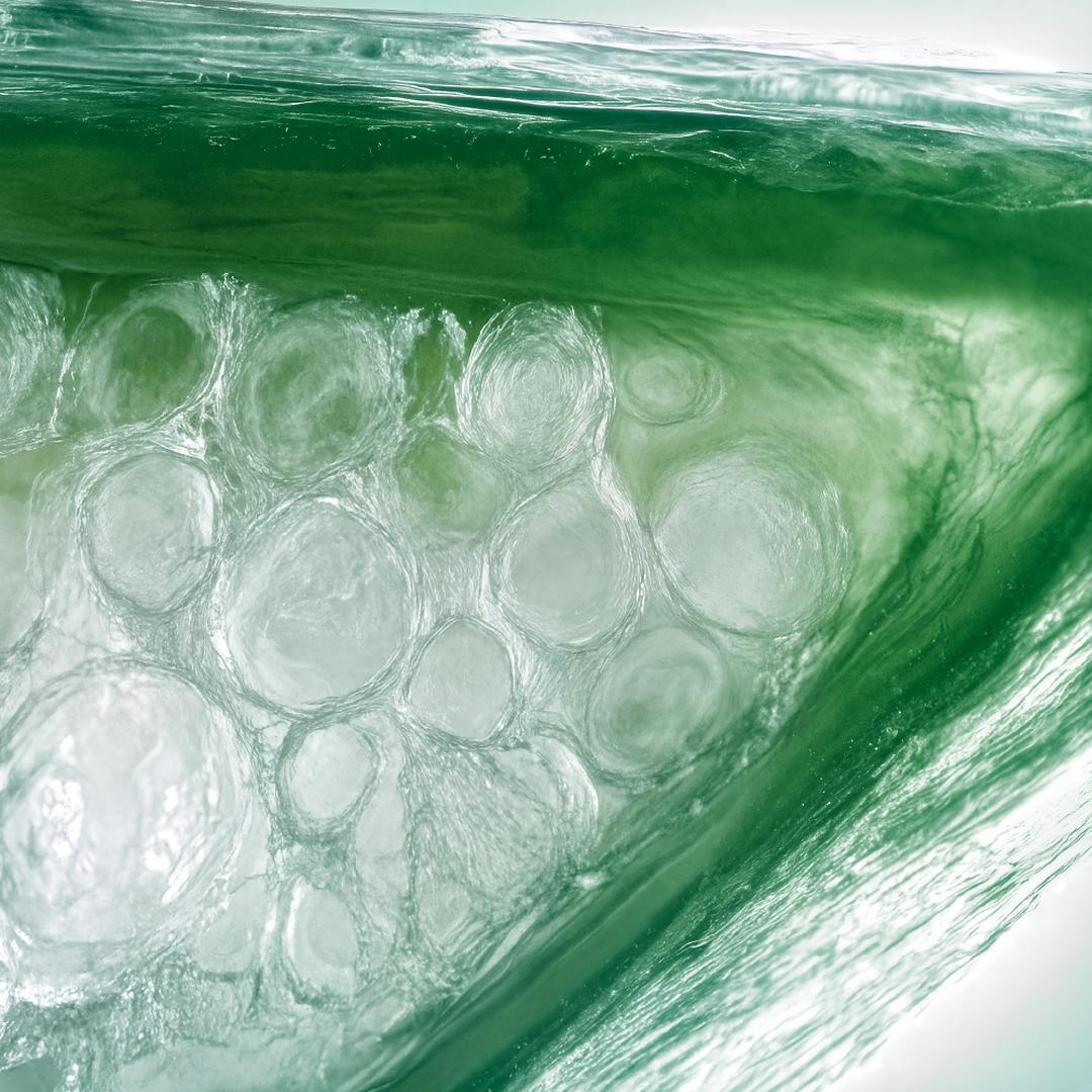 Moisturizing Gel Cream Normal to Combination Skin