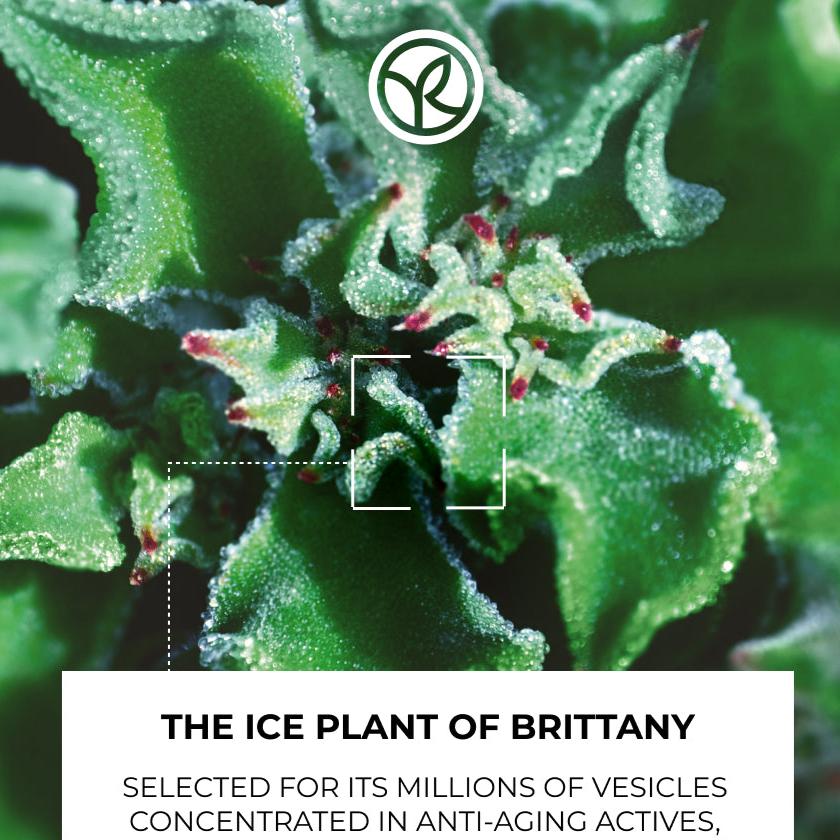 Complete Lift Pro Routine