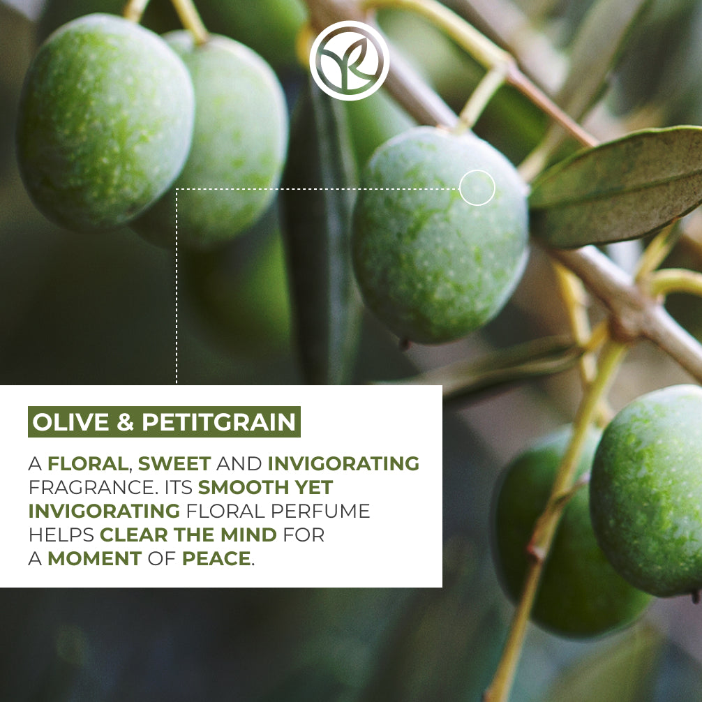 Olive & Petitgrain Moisturizing Hand Cream