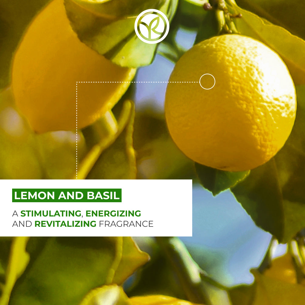 Lemon & Basil Energizing Bath & Shower Gel