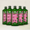 5-pack Shine Shampoo