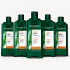 5-Pack Smoothing Shampoo