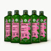 5-pack Shine Shampoo