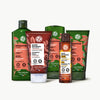 Hair Repair - Full Restoring Set