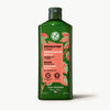 Restoring Shampoo - Repair
