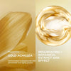 Glow Renewal Essential Lotion