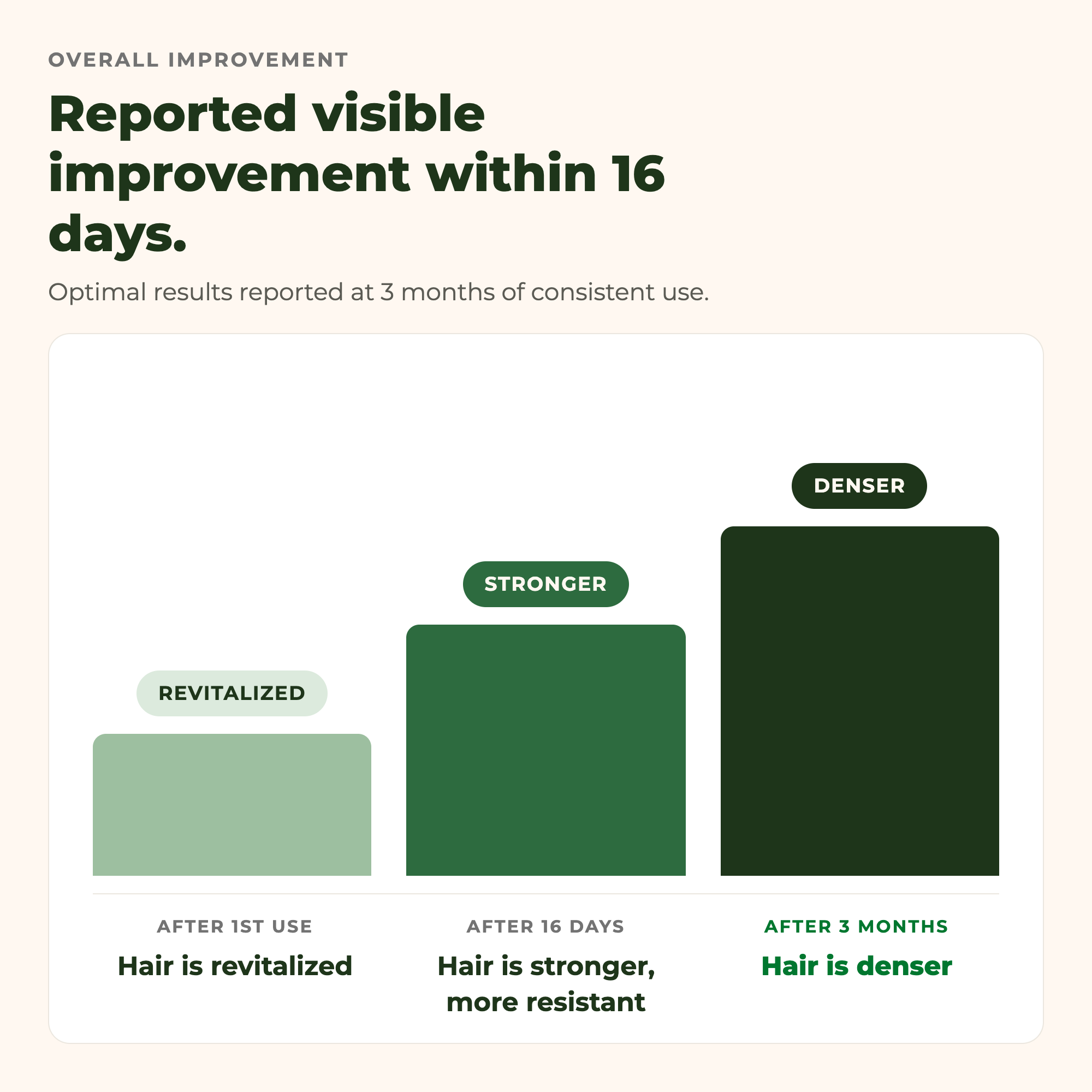 Density Boosting Hair Set
