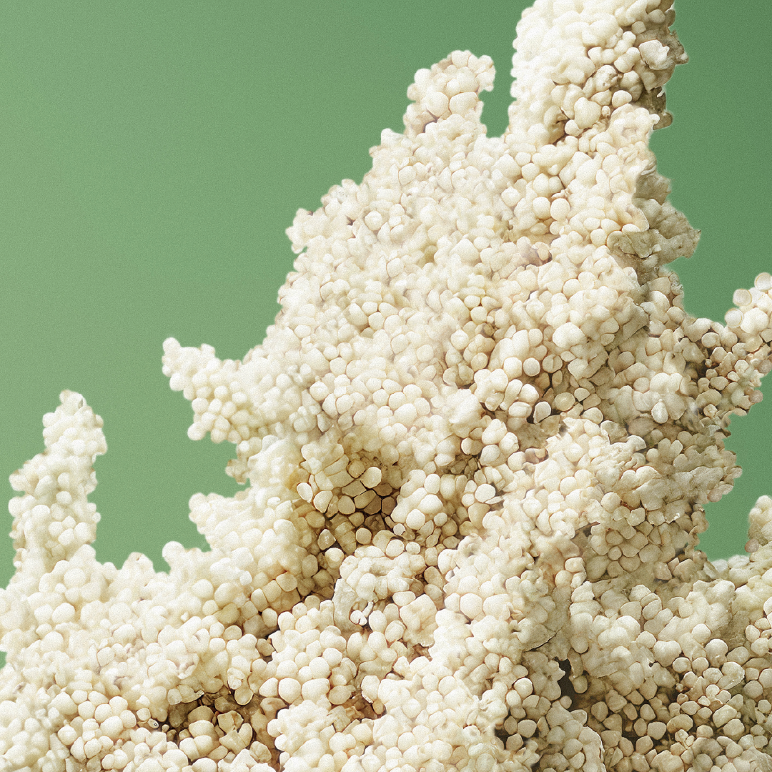 Plumping Volume Shampoo