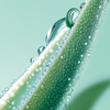 Decongesting Eye Care