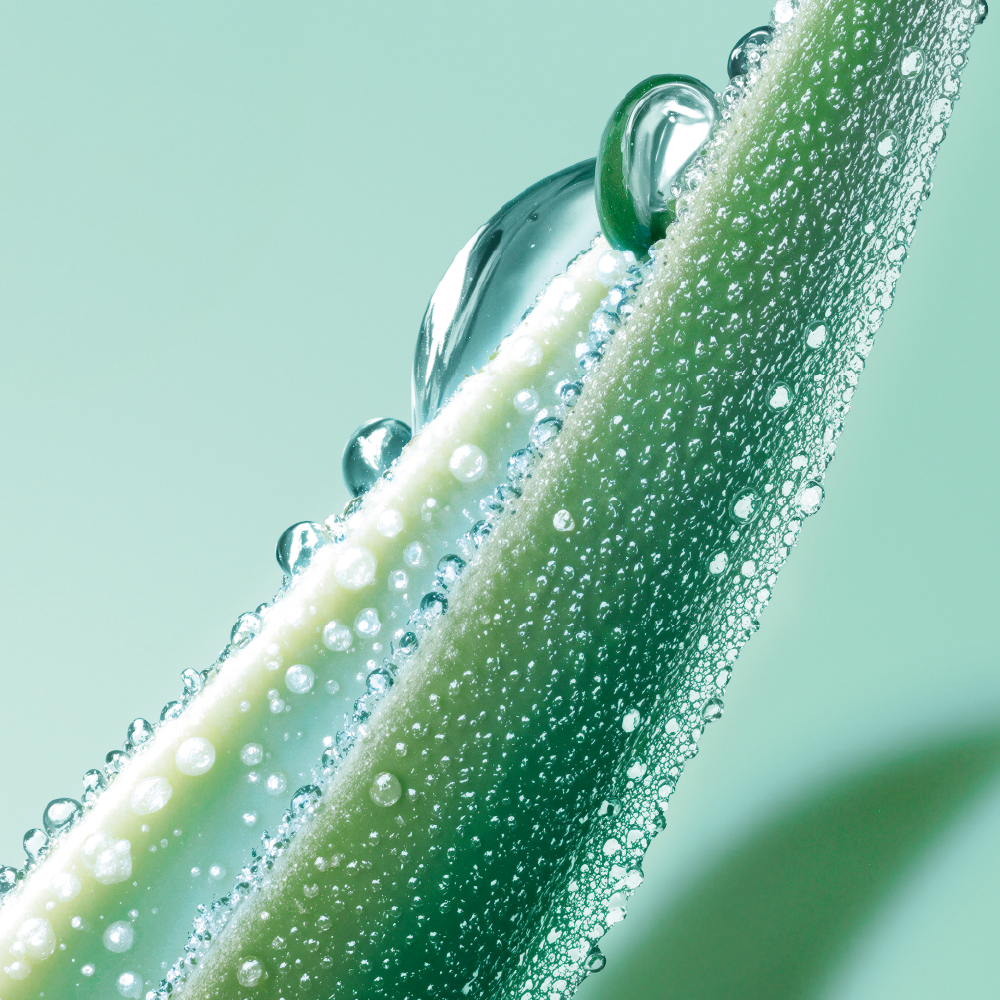 Hydro-Plumping Mask